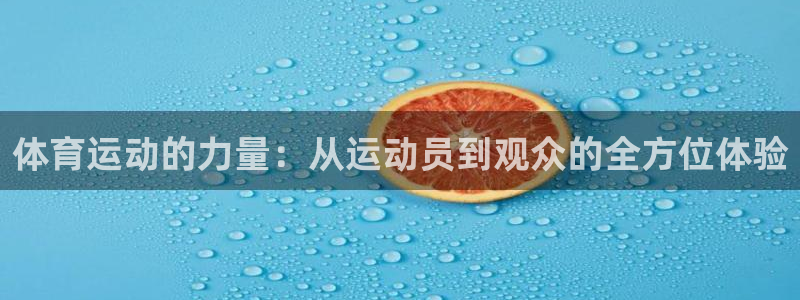 k1体育网站登录官网