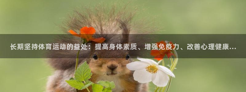 k1体育app官网登录入口