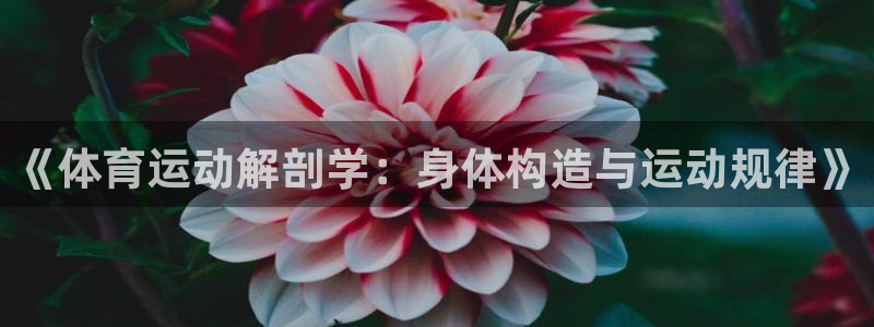 k1体育棋牌