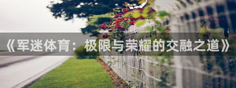 k1体育网站登录官网