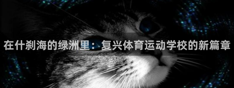 k1体育十年登录入口