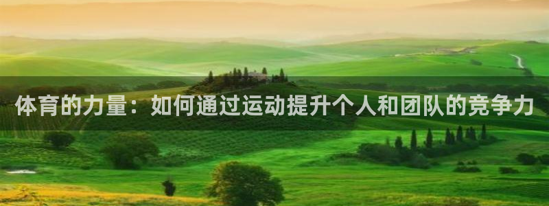 k1体育链接多少
